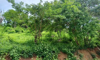 TERRENO DE1.600 MTS2 EN CONJUNTO CERRADO CAMPESTRE EN SANTA MARTA.