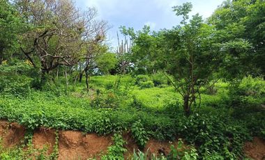 TERRENO DE1.600 MTS2 EN CONJUNTO CERRADO CAMPESTRE EN SANTA MARTA.