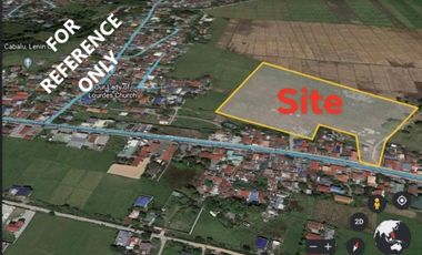 20 HECTARES CONSOLIDATE TITLED LAND PARCELS SITUATED IN BRGY. CALINGCUAN, TARLAC CITY, TARLAC, PHILIPPINES