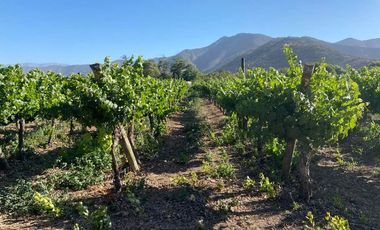 VENTA TERRENO AGRÍCOLA USO RECREACIONAL
