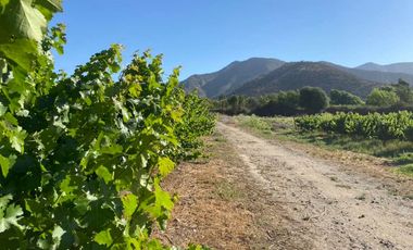 VENTA TERRENO AGRÍCOLA USO RECREACIONAL