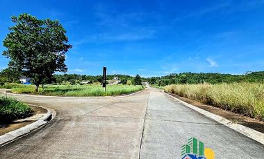 Residential Corner Lot for Sale in Timberland The Glades in San Mateo near C6 Batasan and Commonwealth QC Quezon City
