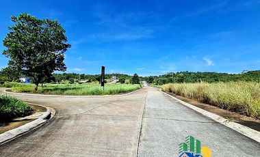 Land for sale in Rizal