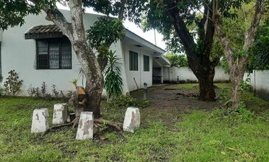 Calindagan Traditional House