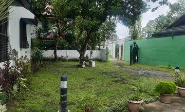 Calindagan Traditional House