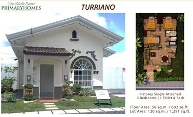 Bungalow Single Detached House & Lot in Toledo,Cebu