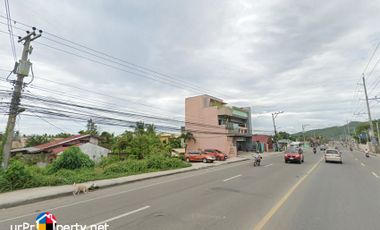 for sale commercial lot with 39 meter frontage wide in minglanilla cebu
