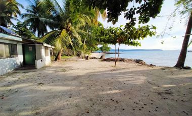 14 Hectares Pure White Sand Beach Lot for Sale in Samal Island Davao
