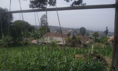 490 M2 Tanah Kebun Datar View Indah, Perbukitan Pakuhaji, Ngamprah, Bandung Barat