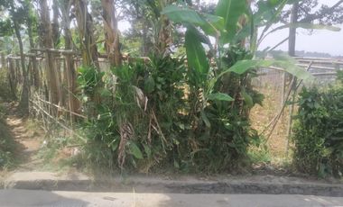 490 M2 Tanah Kebun Datar View Indah, Perbukitan Pakuhaji, Ngamprah, Bandung Barat