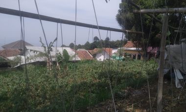 490 M2 Tanah Kebun Datar View Indah, Perbukitan Pakuhaji, Ngamprah, Bandung Barat