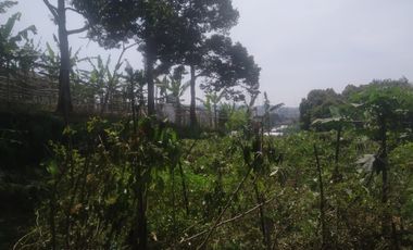 490 M2 Tanah Kebun Datar View Indah, Perbukitan Pakuhaji, Ngamprah, Bandung Barat