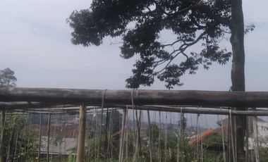 490 M2 Tanah Kebun Datar View Indah, Perbukitan Pakuhaji, Ngamprah, Bandung Barat