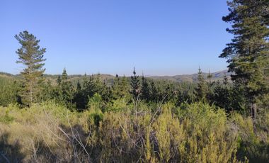 Hermosa parcela a minutos de playas de la sexta región!!!