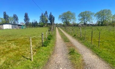 Se vende amplia propiedad ubicada en la localidad del Rosario de la comuna de Bulnes