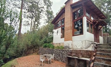 Cabañas inmersas en un grandioso bosque!!