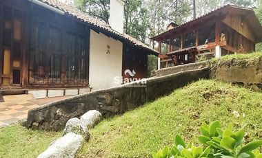 Cabañas inmersas en un grandioso bosque!!