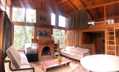 Cabañas inmersas en un grandioso bosque!!