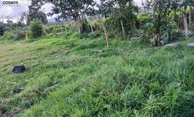 Terreno de venta en Chaltura, 1241 m2