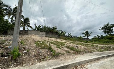 177 SQ.M Lot with overlooking view for Sale in Vista Grande Bulacao Talisay City Cebu