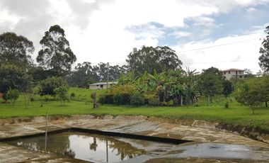 VENTA FINCA  MESA DE LOS SANTOS