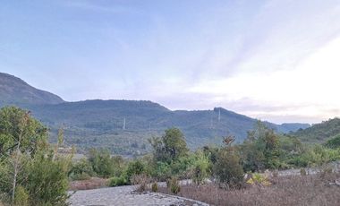 Parcela en Lago Colbún, Región del Maule, V 1487