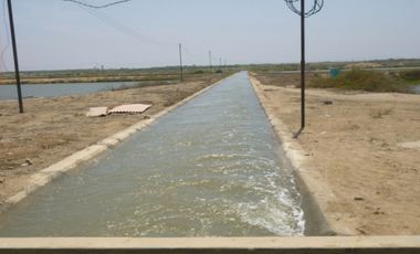 Langostinera en Tumbes de 250 has