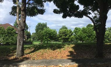 Active Lot For Sale in Manila Southwoods Residential Estate Near Golf & Country Club