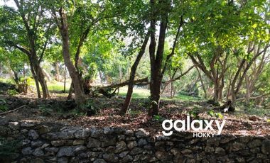 DIJUAL TANAH PANTAI GREEN BOWL BALI CLIF UNGASAN BADUNG, BALI