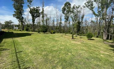 Casa en RENTA Fraccionamiento la Floresta