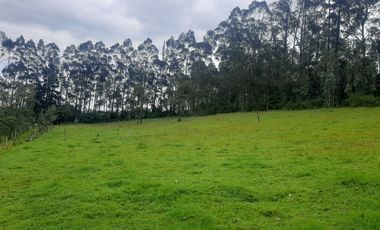 QUINTA en venta, Amaguaña, 49.533m2, plano, con potreros casa, servicios