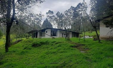 QUINTA en venta, Amaguaña, 49.533m2, plano, con potreros casa, servicios