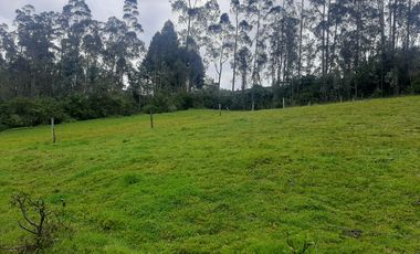 QUINTA en venta, Amaguaña, 49.533m2, plano, con potreros casa, servicios