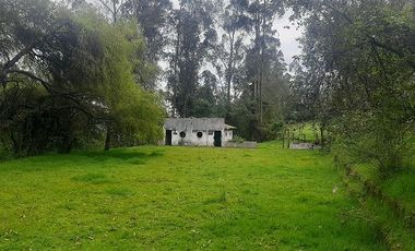 QUINTA en venta, Amaguaña, 49.533m2, plano, con potreros casa, servicios