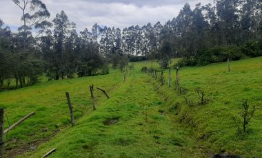 QUINTA en venta, Amaguaña, 49.533m2, plano, con potreros casa, servicios
