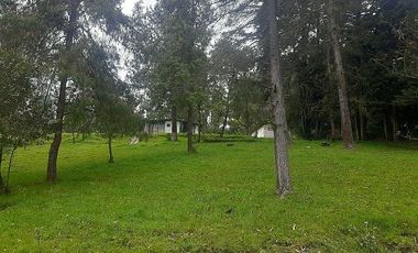 QUINTA en venta, Amaguaña, 49.533m2, plano, con potreros casa, servicios