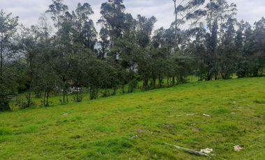 QUINTA en venta, Amaguaña, 49.533m2, plano, con potreros casa, servicios