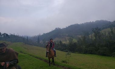 Finca en Barro blanco Bojaca, Cundinamarca, Colombia, c.v 1674