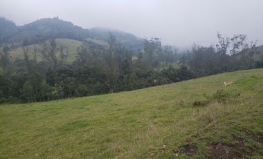 Finca en Barro blanco Bojaca, Cundinamarca, Colombia, c.v 1674