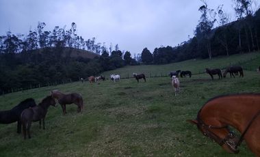 Finca en Barro blanco Bojaca, Cundinamarca, Colombia, c.v 1674