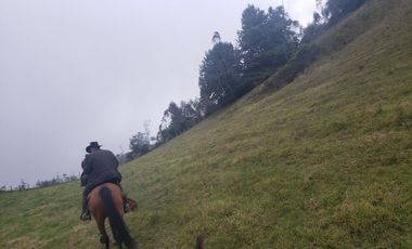 Finca en Barro blanco Bojaca, Cundinamarca, Colombia, c.v 1674
