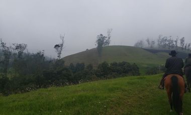 Finca en Barro blanco Bojaca, Cundinamarca, Colombia, c.v 1674