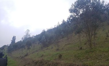 Finca en Barro blanco Bojaca, Cundinamarca, Colombia, c.v 1674