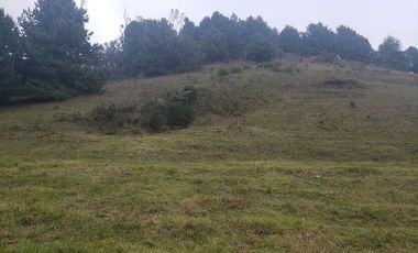 Finca en Barro blanco Bojaca, Cundinamarca, Colombia, c.v 1674