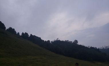 Finca en Barro blanco Bojaca, Cundinamarca, Colombia, c.v 1674