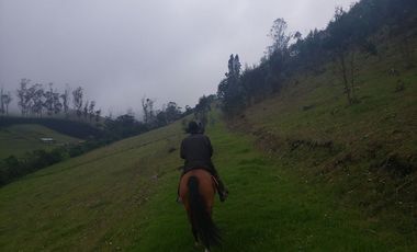 Finca en Barro blanco Bojaca, Cundinamarca, Colombia, c.v 1674
