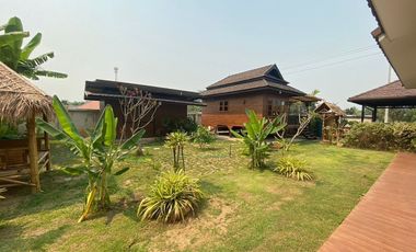 Thai Style 1 Bedroom House in San Sai for Rent