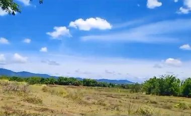 49HA - Agricultural Lot for Sale in San Miguel, Bulacan