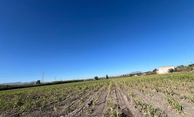 Se vende terreno en Tala sobre carretera