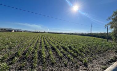 Se vende terreno en Tala sobre carretera